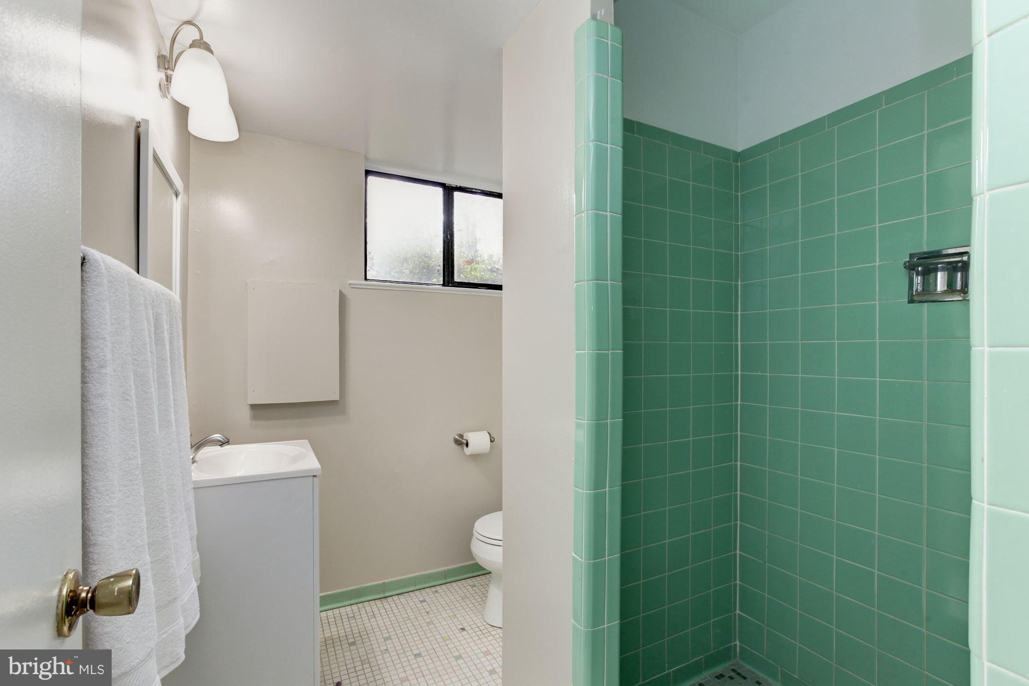 6216 Plainview Road Bethesda, MD 20817 - Photo 23 of 26 Lower Level Full Bath