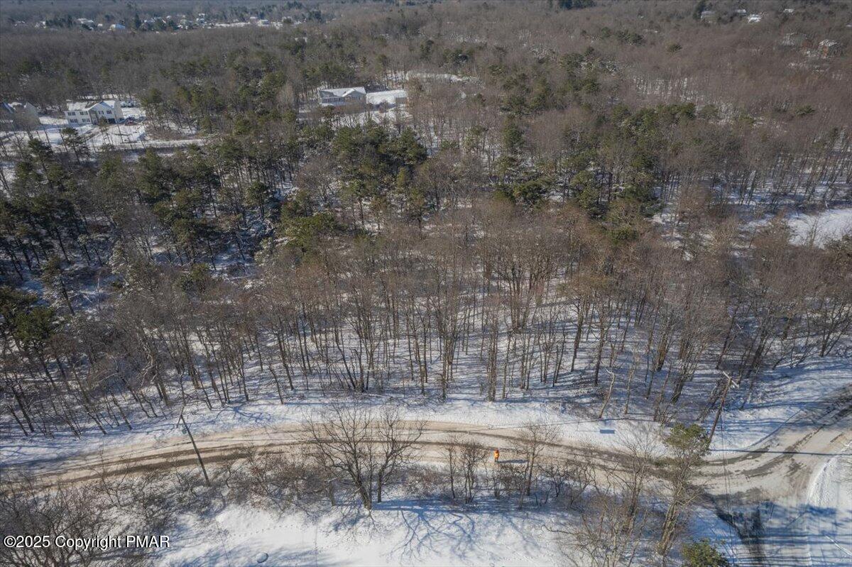 7237 Clover Road Long Pond, PA 18334 - Photo 4 of 7 a view of lot of trees