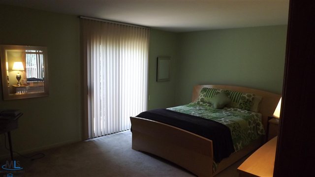 2223 Rochelle Park Drive Rochester, MI 48309 - Photo 8 of 12 Master Bedroom
