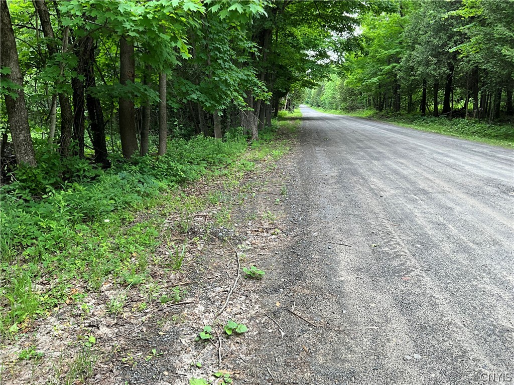 0 County Rte 35 Canton, NY 13617 - Photo 5 of 33