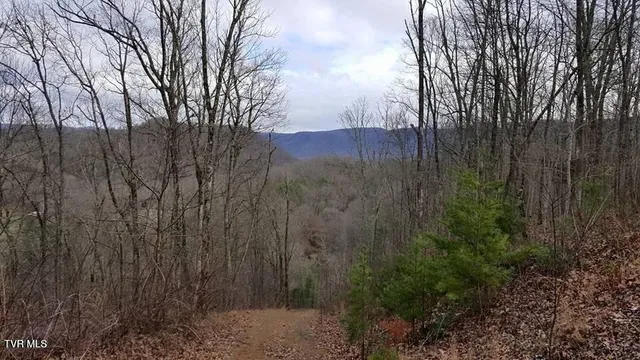 $99,900 | Tbd Morrell Creek Road, Bluff City, TN 37618