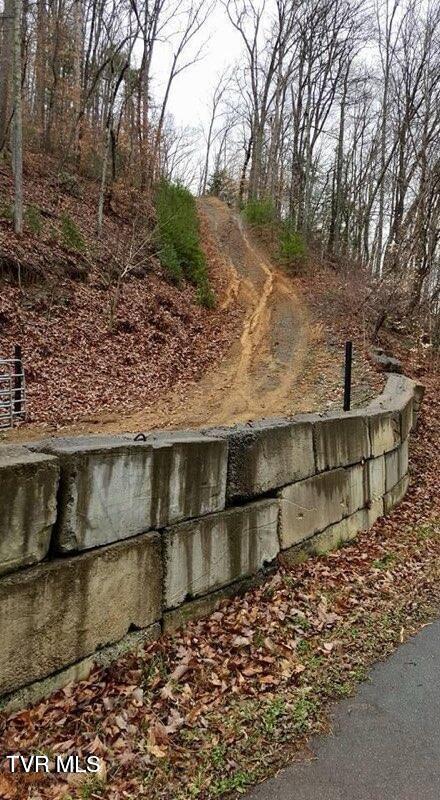 Tbd Morrell Creek Road Bluff City, TN 37618 - Photo 22 of 22 mc22