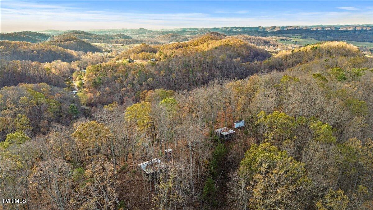 Tbd Morrell Creek Road Bluff City, TN 37618 - Photo 7 of 22 mc7