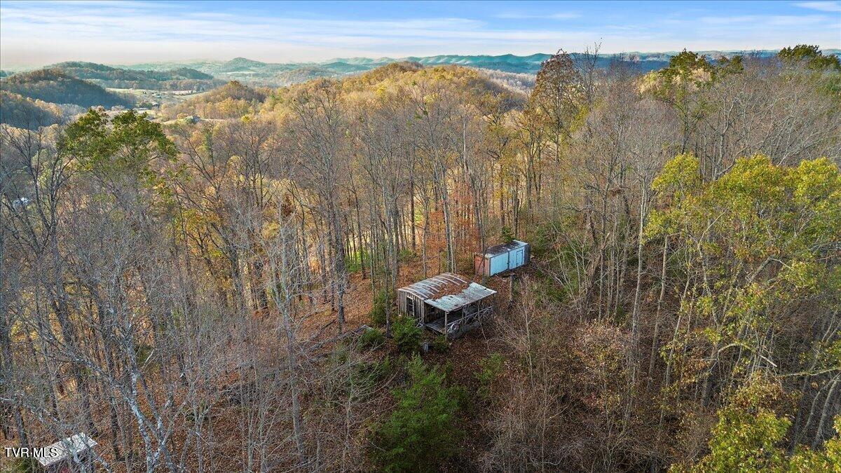 Tbd Morrell Creek Road Bluff City, TN 37618 - Photo 8 of 22 mc8