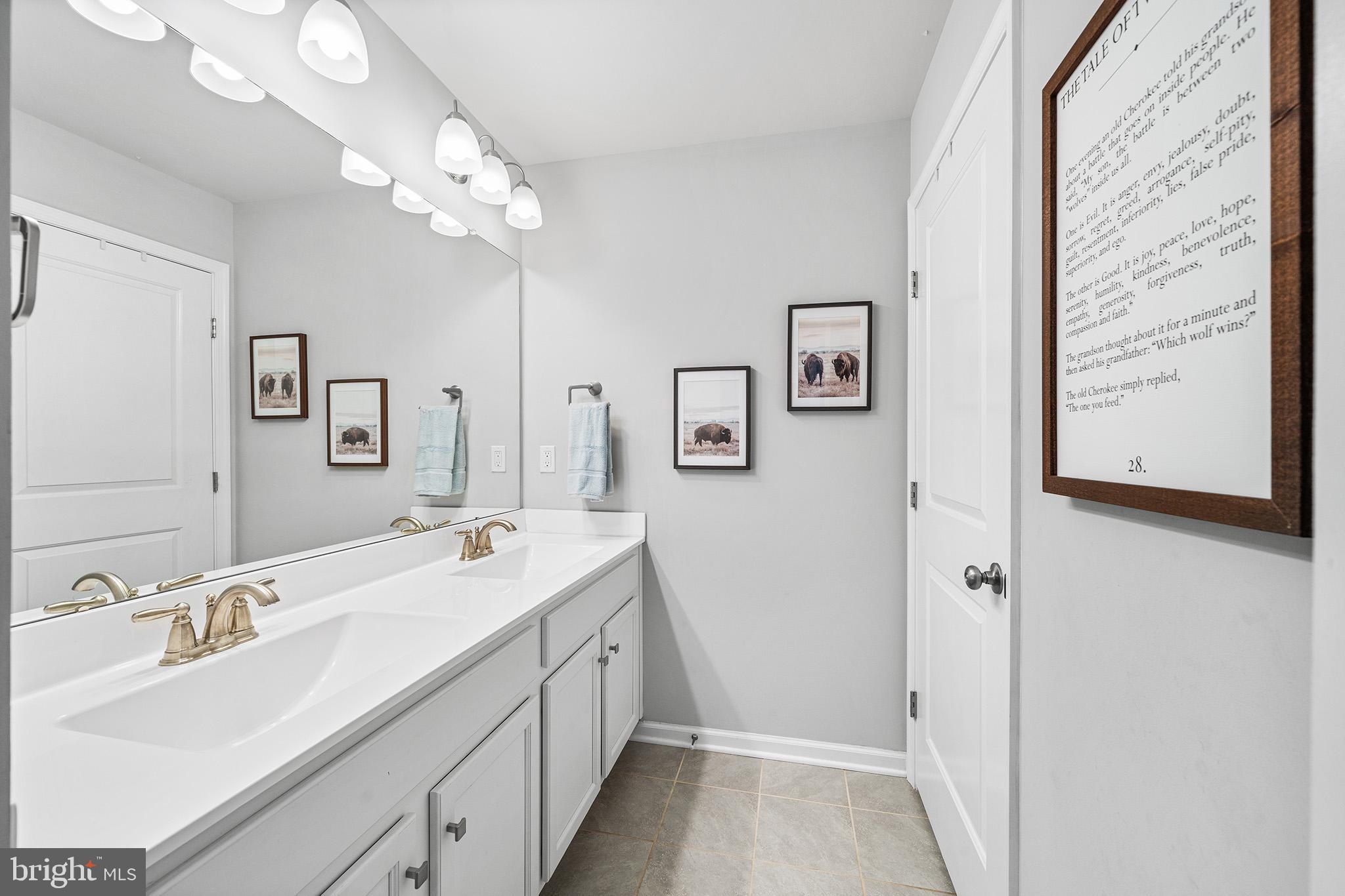 43 Hummingbird Lane Phoenixville, PA 19460 - Photo 20 of 44 a bathroom with a double vanity sink mirror and vanity