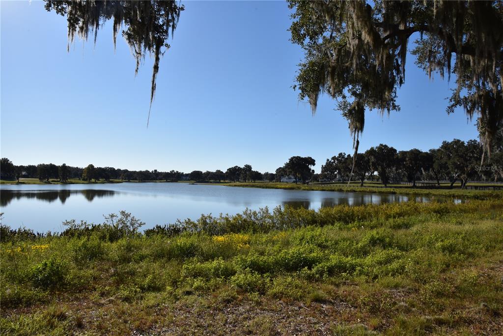 301 Off Highway Summerfield, FL 34491 - Photo 18 of 29 a view of lake