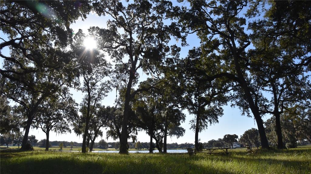 301 Off Highway Summerfield, FL 34491 - Photo 20 of 29 a view of a lake with houses in background
