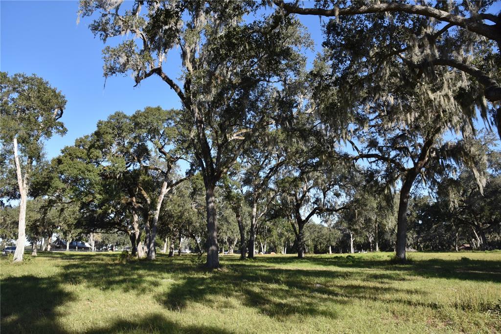 301 Off Highway Summerfield, FL 34491 - Photo 23 of 29 a view of a golf course