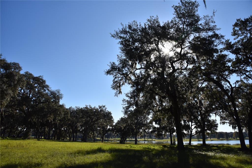 301 Off Highway Summerfield, FL 34491 - Photo 26 of 29 a view of a field with trees around