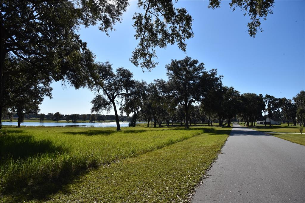 301 Off Highway Summerfield, FL 34491 - Photo 8 of 29 a view of a swimming pool and trees in the background
