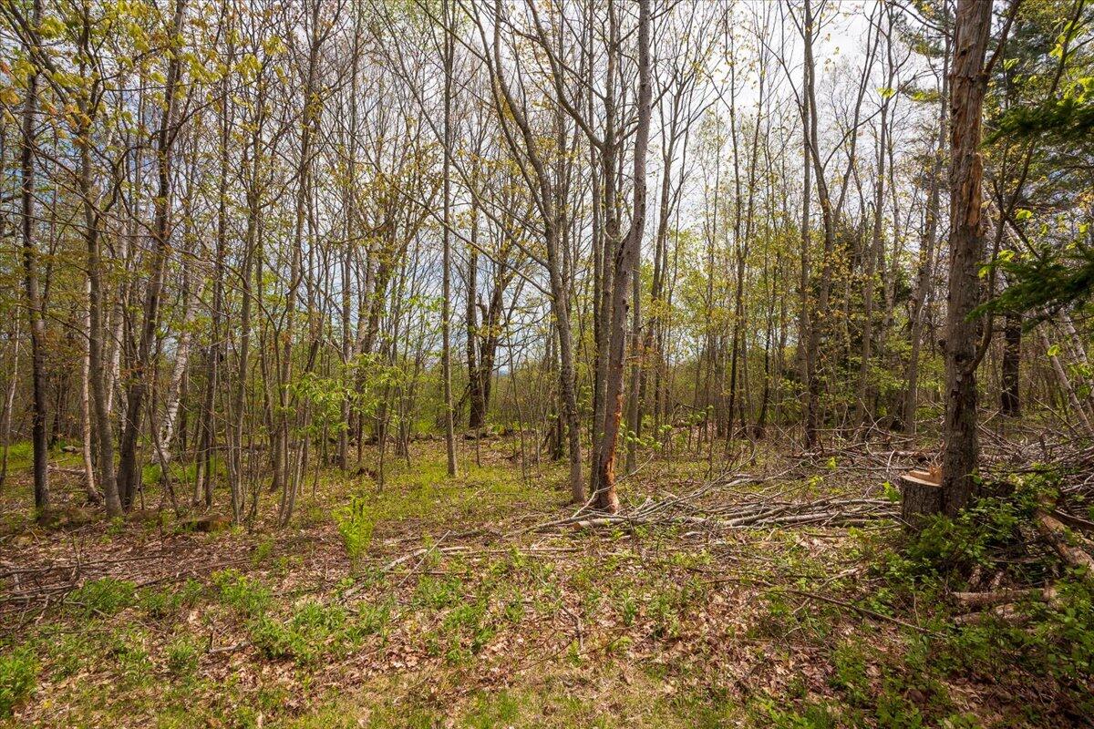 26 Map Road Hope, ME 04847 - Photo 13 of 17 Map 26 Lot 2-1 Bull Hill Road, Hope