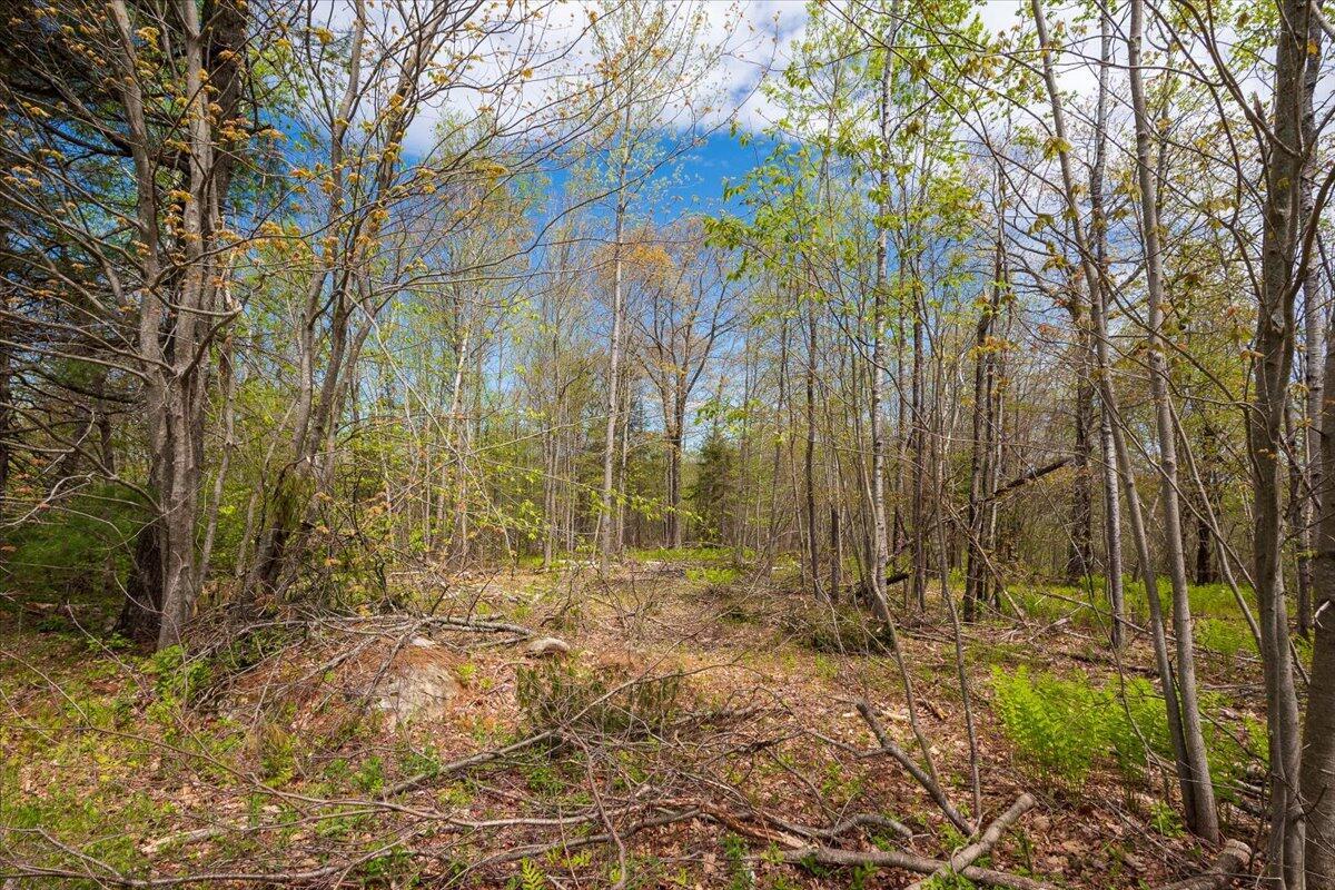 26 Map Road Hope, ME 04847 - Photo 14 of 17 Map 26 Lot 2-1 Bull Hill Road, Hope
