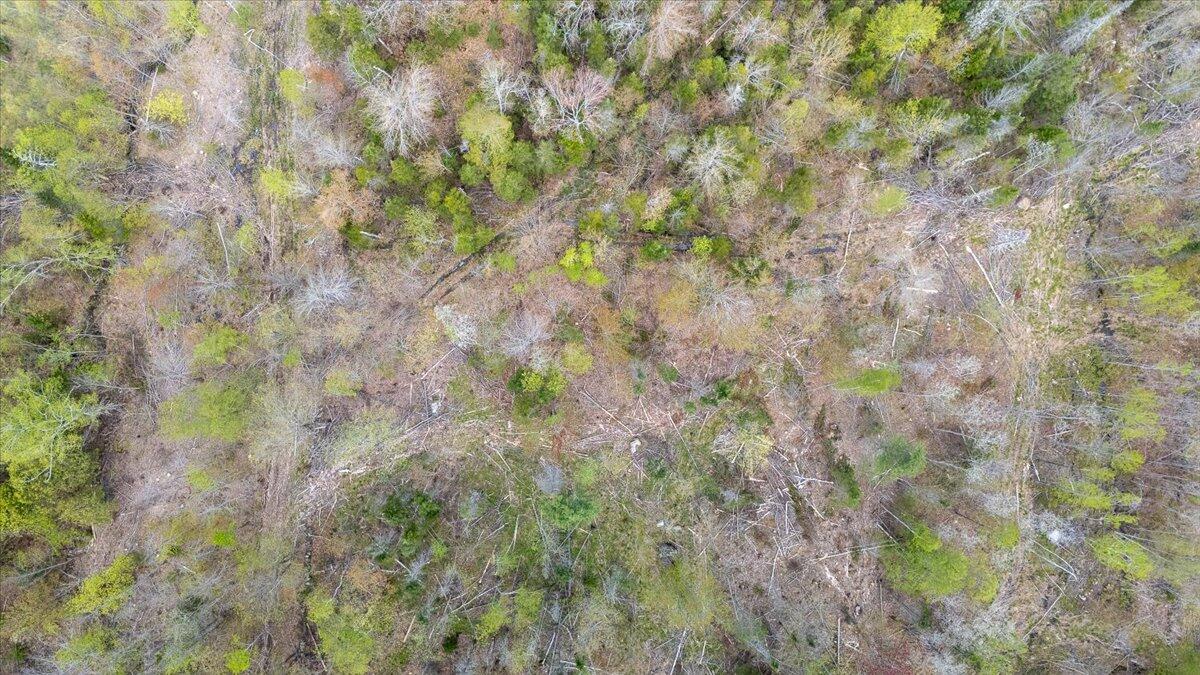 26 Map Road Hope, ME 04847 - Photo 10 of 17 Map 26 Lot 2-1 Bull Hill Road, Hope