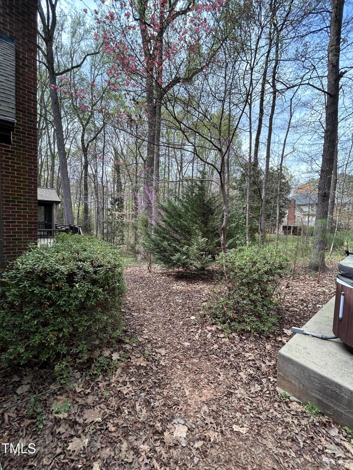 106 Springbrook Place Cary, NC 27518 - Photo 47 of 49 a view of a yard with plants and trees