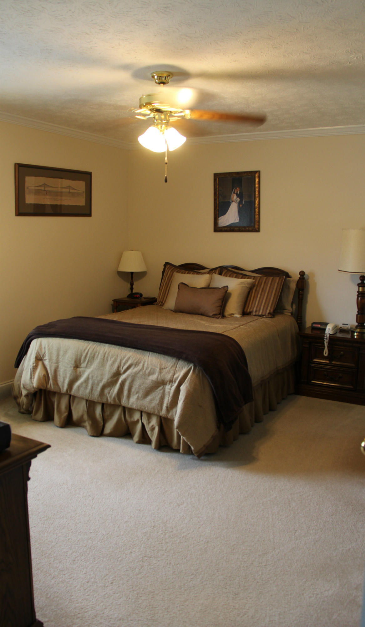 7036 Ghiradelli Road Knoxville, TN 37918 - Photo 10 of 24 Master bedroom