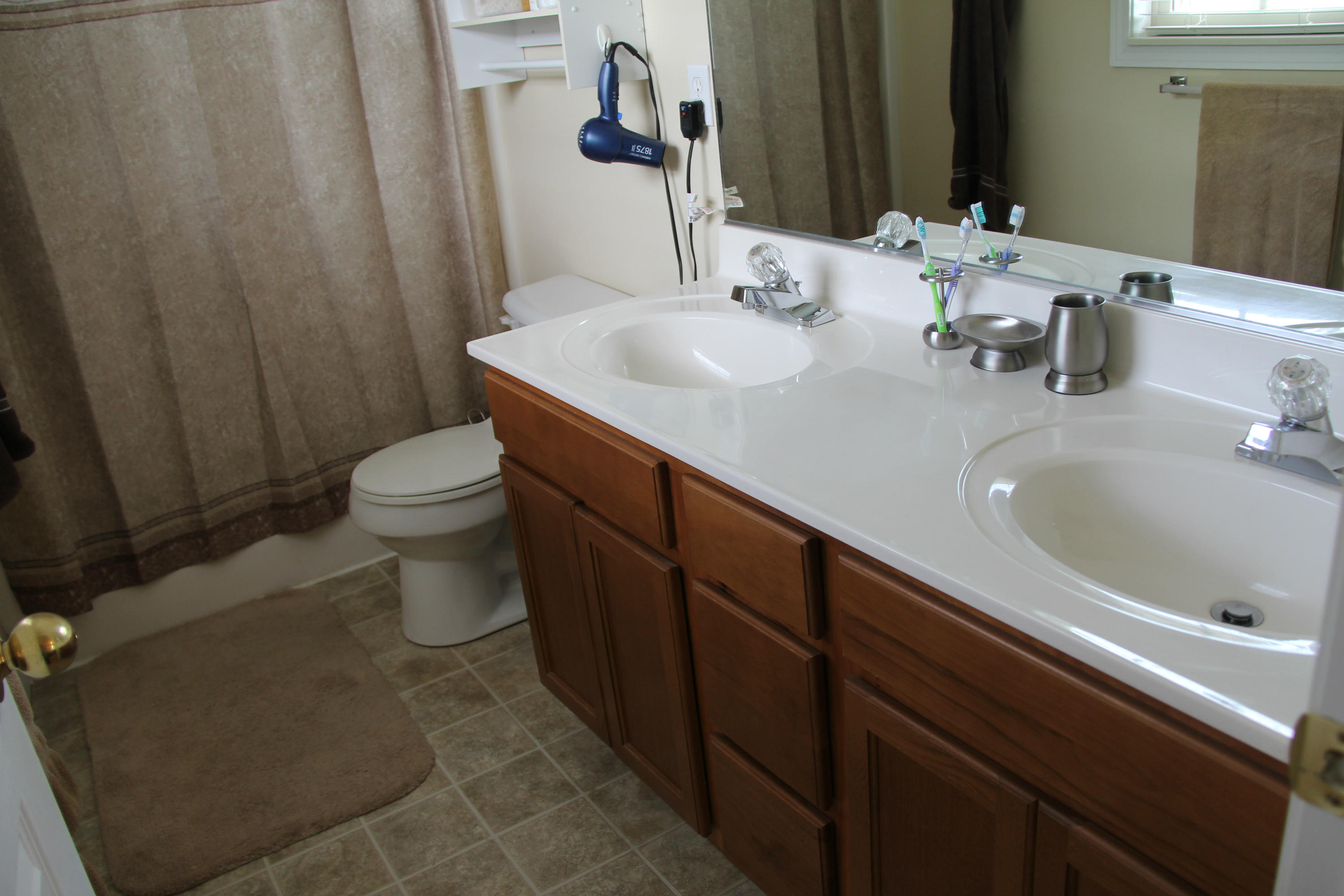 7036 Ghiradelli Road Knoxville, TN 37918 - Photo 12 of 24 Double vanities in master bath