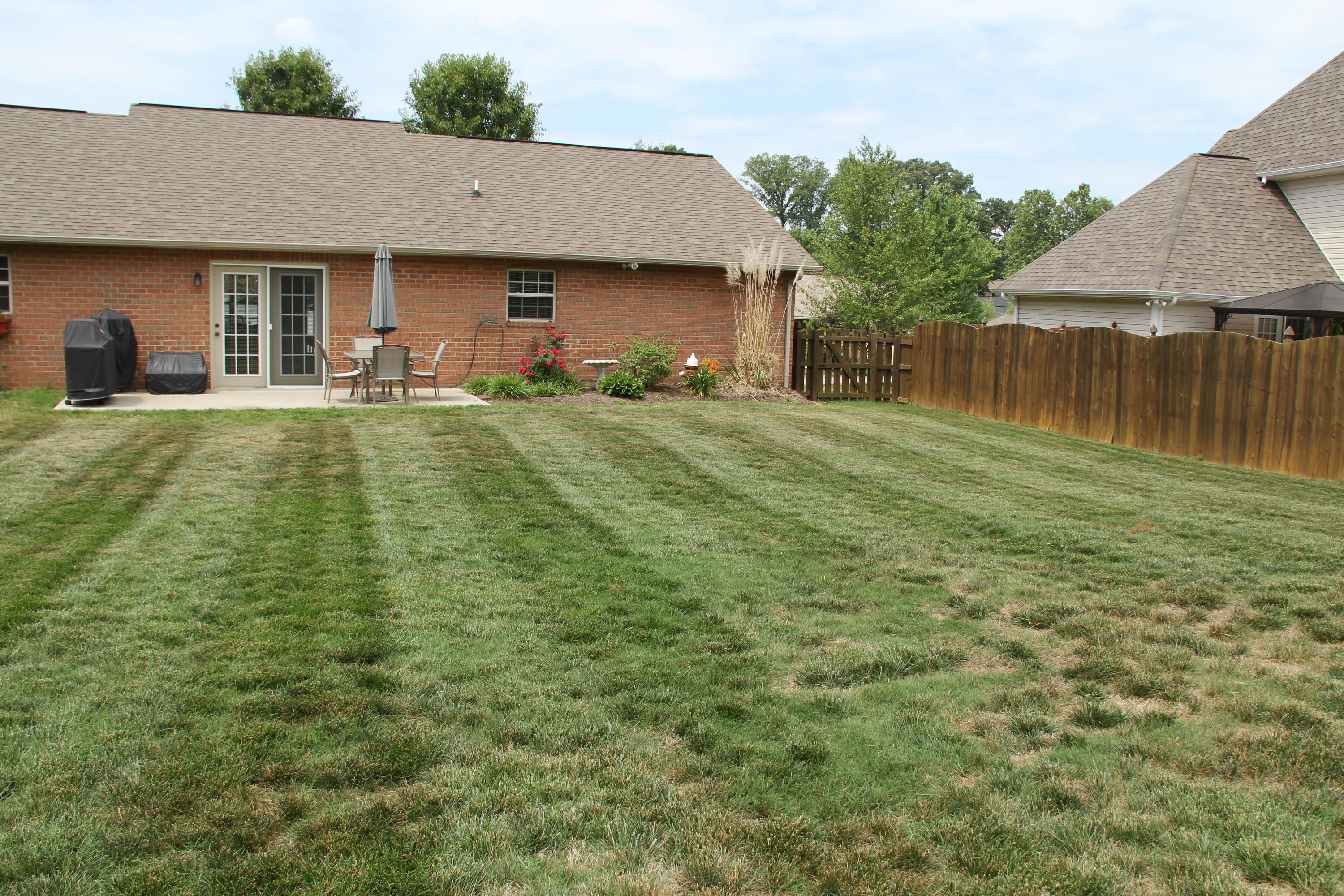 7036 Ghiradelli Road Knoxville, TN 37918 - Photo 18 of 24 Level backyard