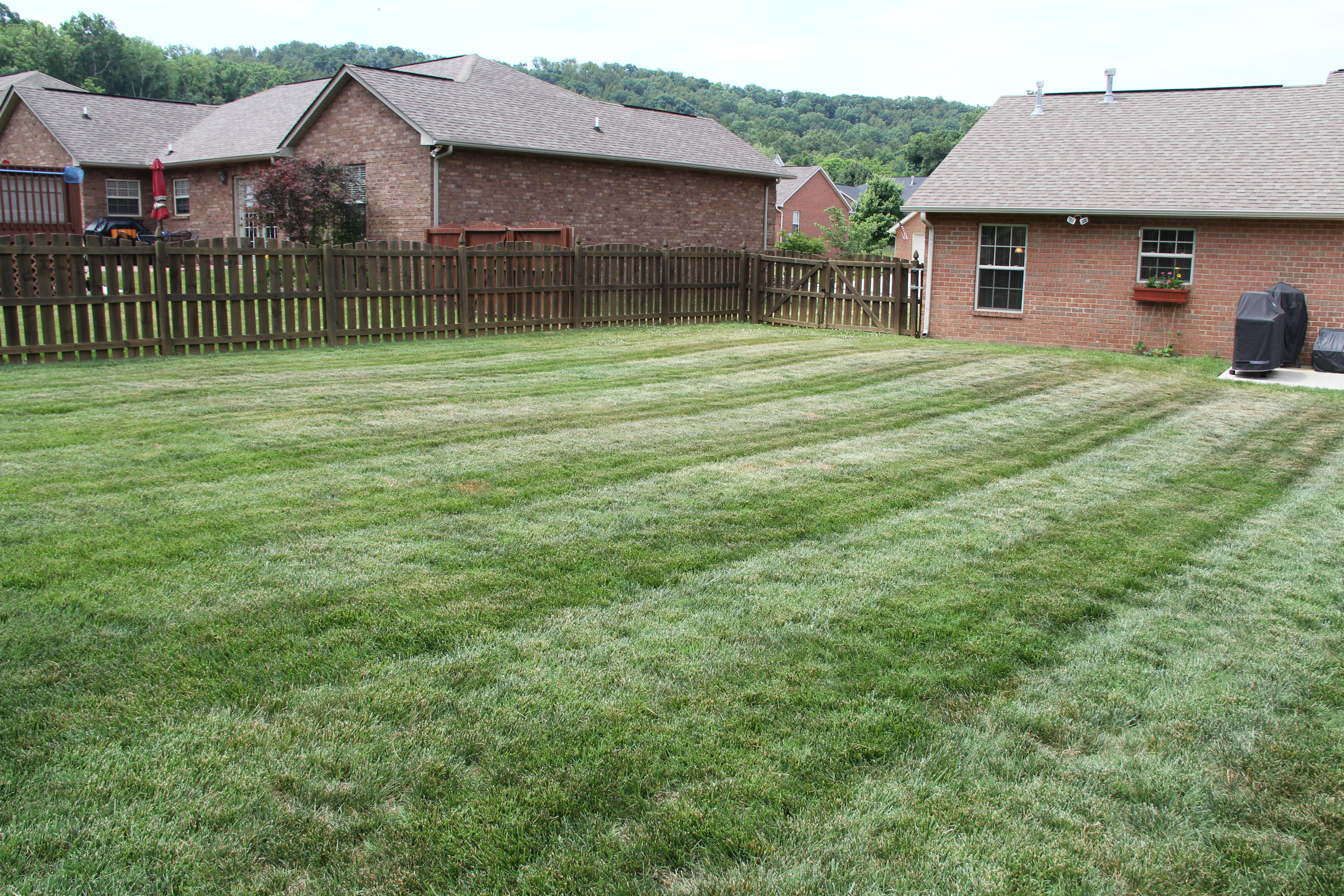 7036 Ghiradelli Road Knoxville, TN 37918 - Photo 19 of 24 Fenced backyard