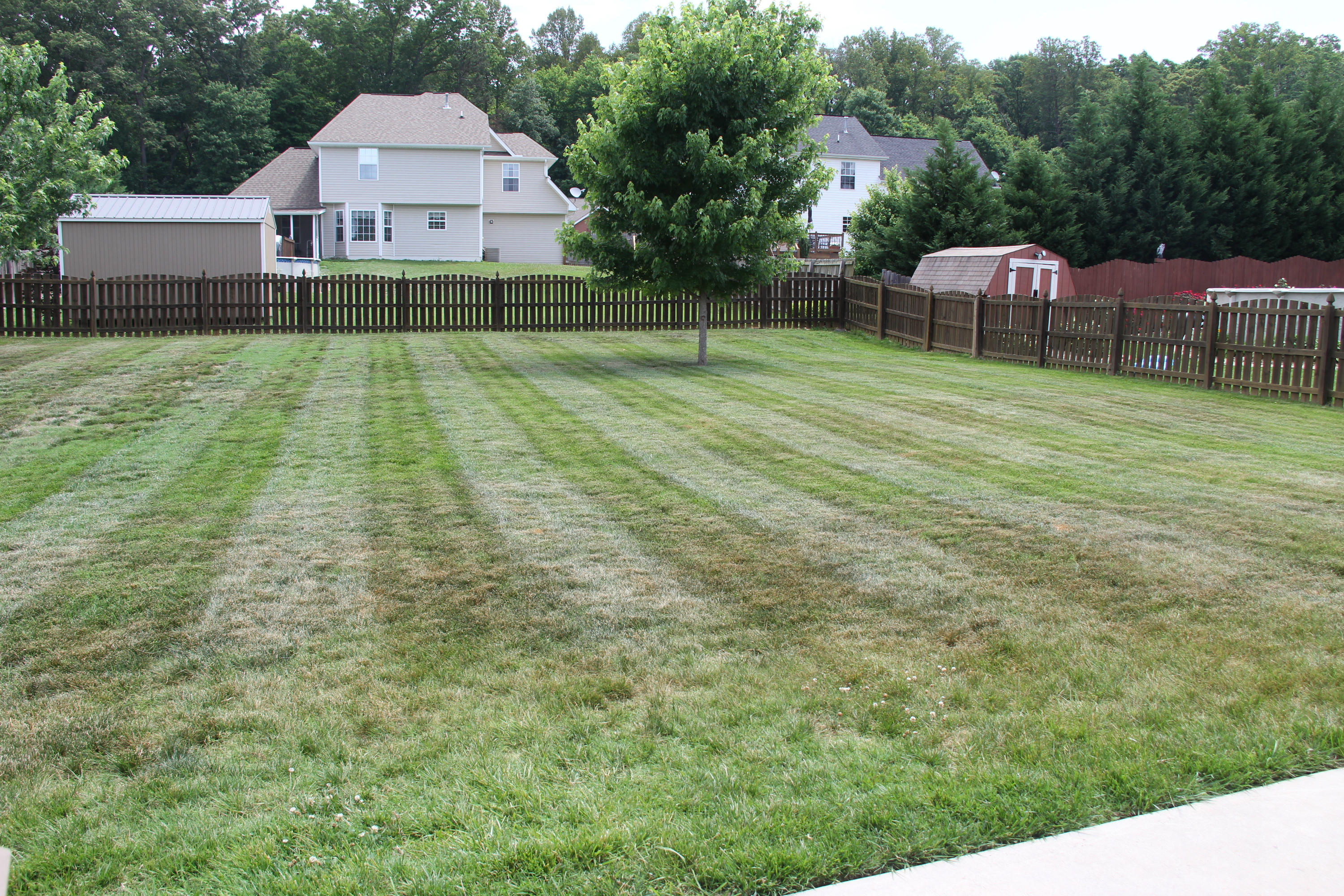 7036 Ghiradelli Road Knoxville, TN 37918 - Photo 20 of 24 Huge level fenced backyard