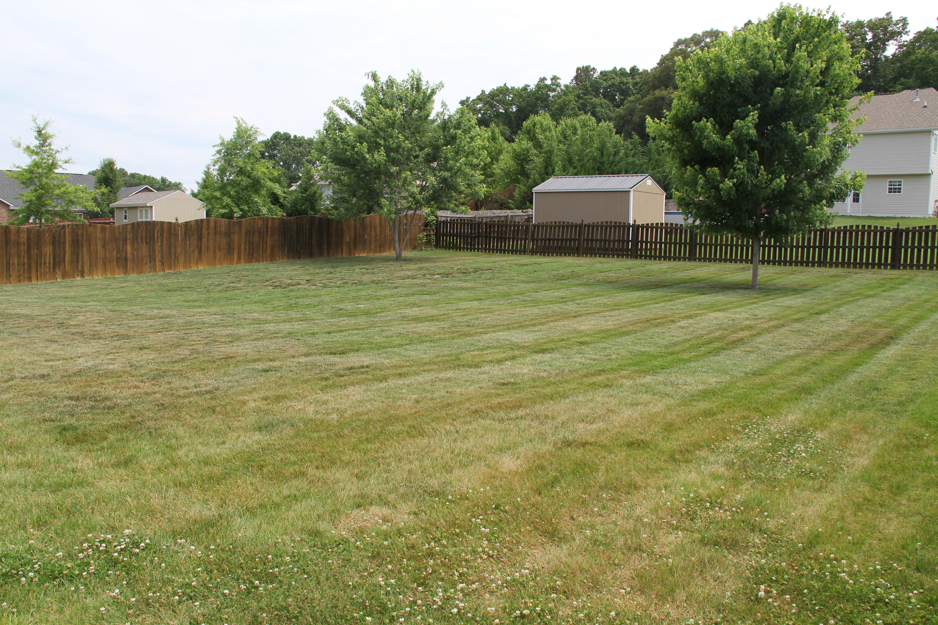 7036 Ghiradelli Road Knoxville, TN 37918 - Photo 21 of 24 Great backyard
