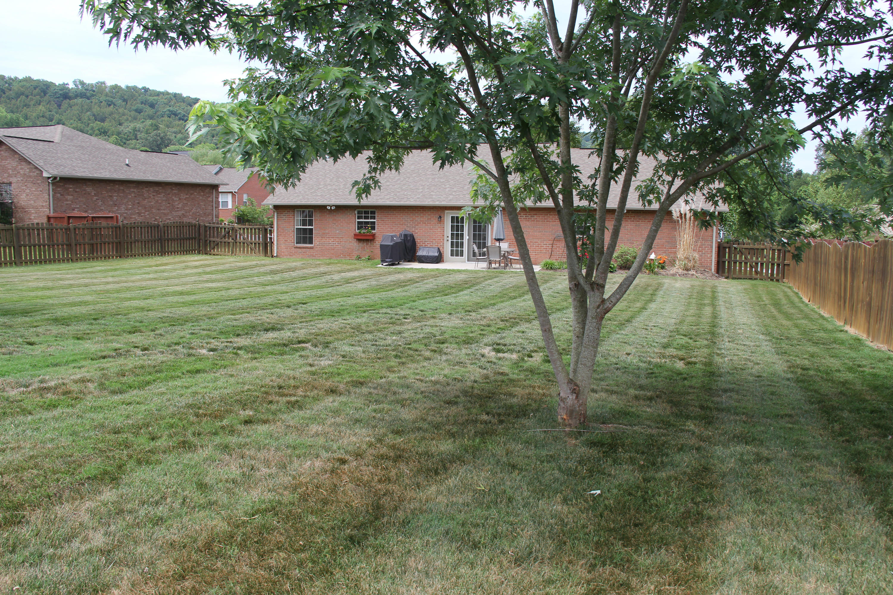 7036 Ghiradelli Road Knoxville, TN 37918 - Photo 22 of 24 View from back fence