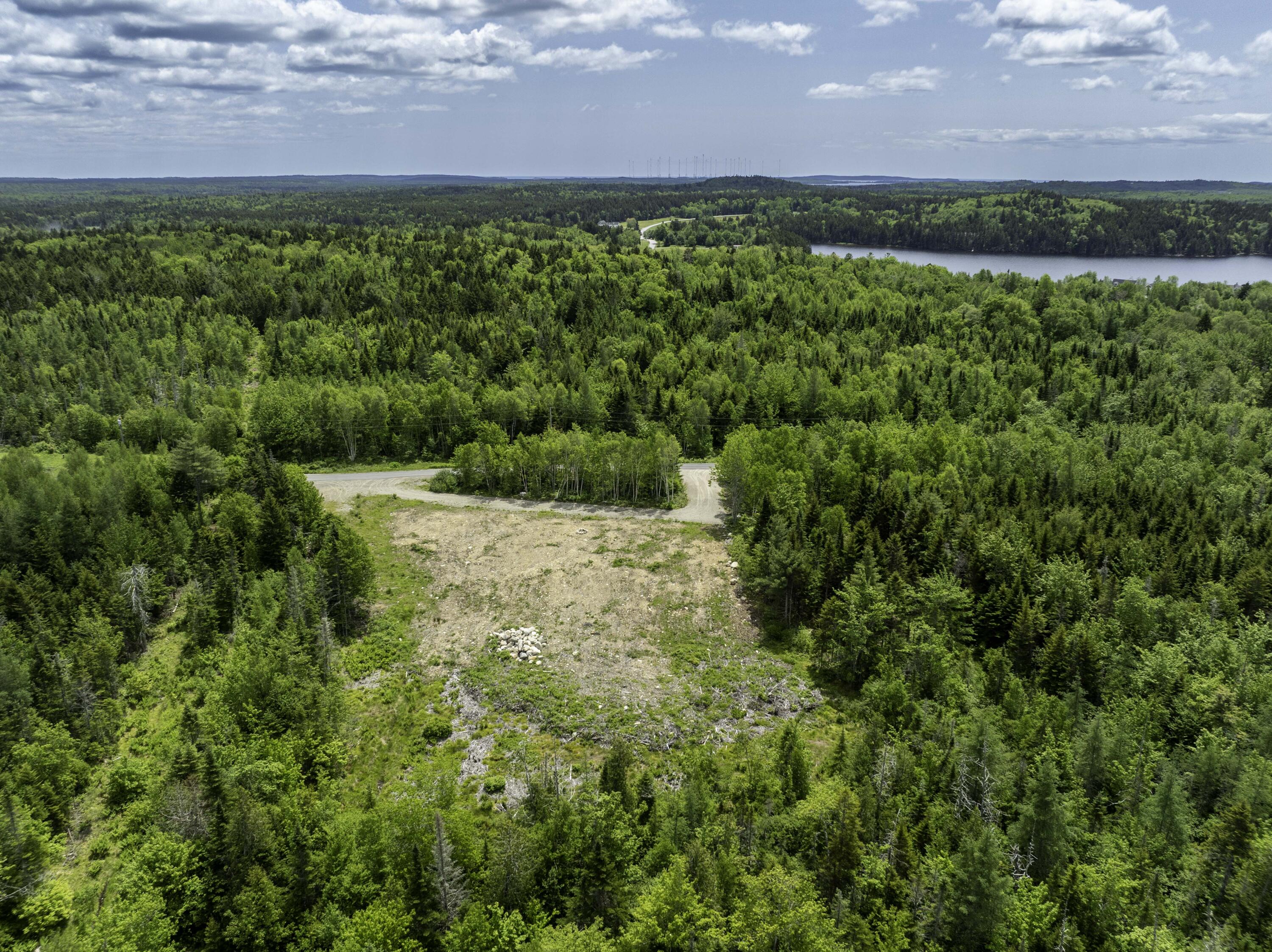 Lot 23 Lucas Lane Whiting, ME 04691 - Photo 12 of 17 lot # 23 Lucas Lane, Hill Farm Estates,