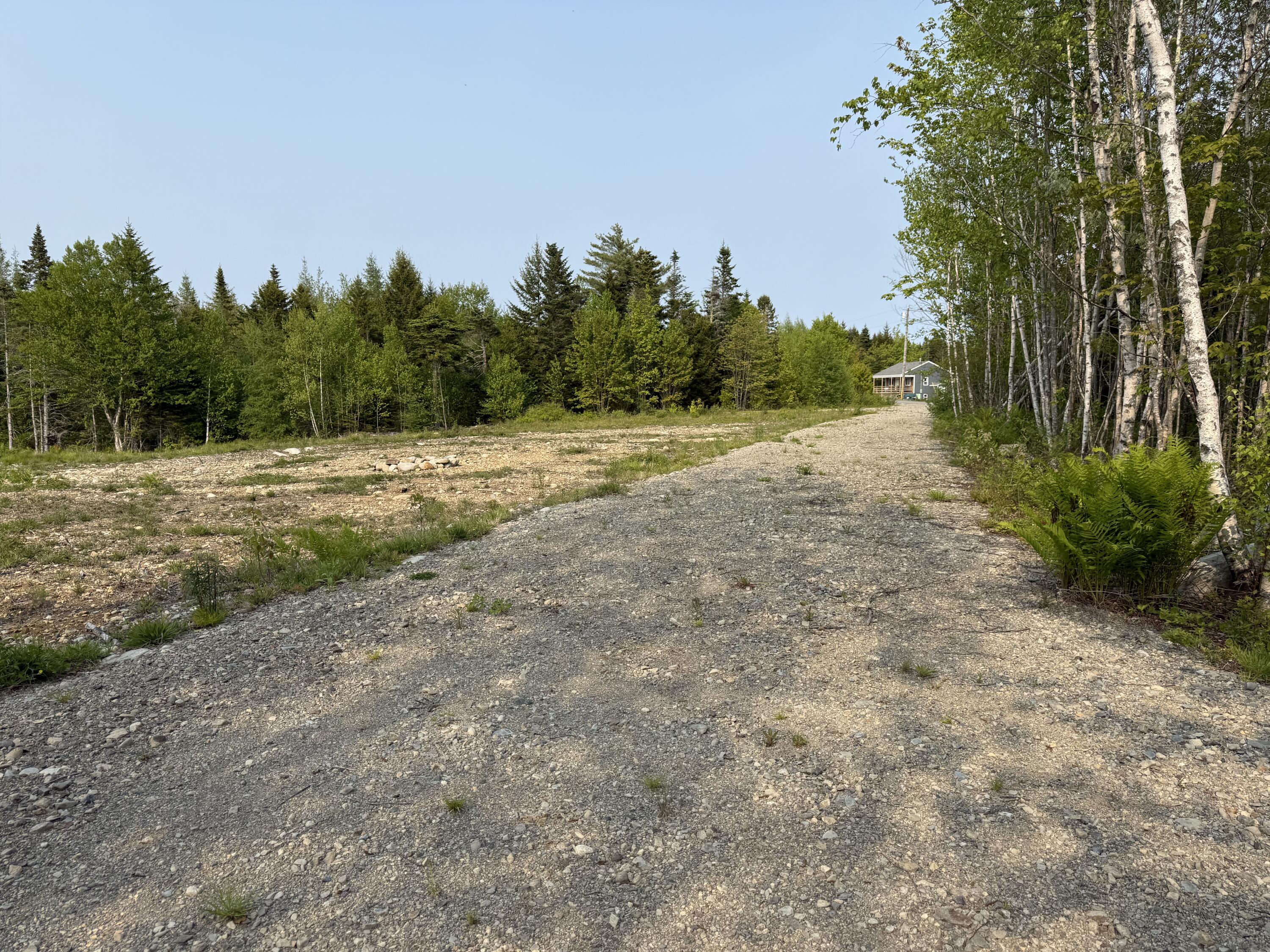 Lot 23 Lucas Lane Whiting, ME 04691 - Photo 14 of 17 IMG_1327