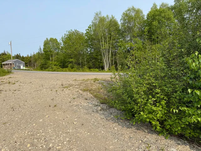 $49,000 | Lot 23 Lucas Lane, Whiting, ME 04691