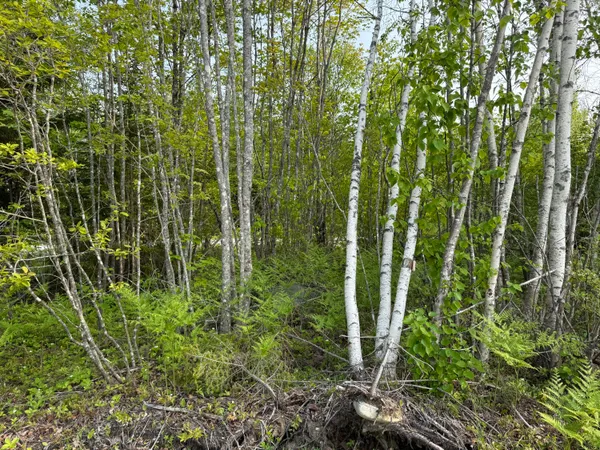 $49,000 | Lot 23 Lucas Lane, Whiting, ME 04691