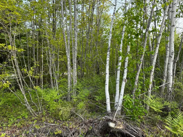 $49,000 | Lot 23 Lucas Lane, Whiting, ME 04691