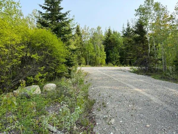 $49,000 | Lot 23 Lucas Lane, Whiting, ME 04691