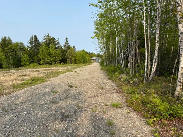 $49,000 | Lot 23 Lucas Lane, Whiting, ME 04691