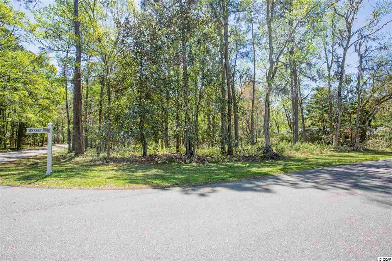 Lot 5 Tuckers Road Pawleys Island, SC 29585 - Photo 2 of 25 Gallery Image 2