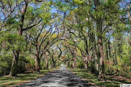 Lot 5 Tuckers Road Pawleys Island, SC 29585 - Photo 11 of 25 Gallery Image 11