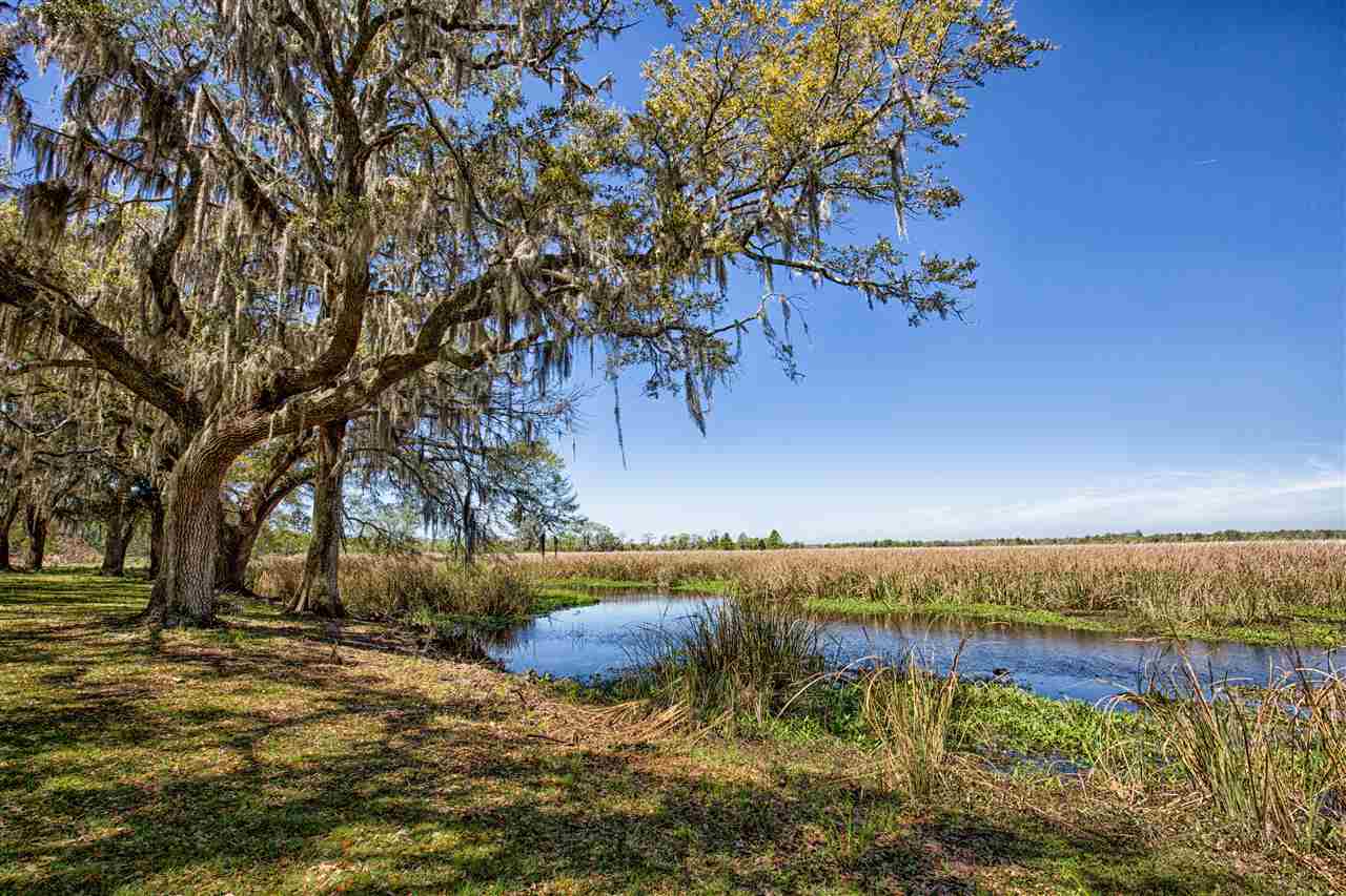 Lot 5 Tuckers Road Pawleys Island, SC 29585 - Photo 20 of 25 Gallery Image 20