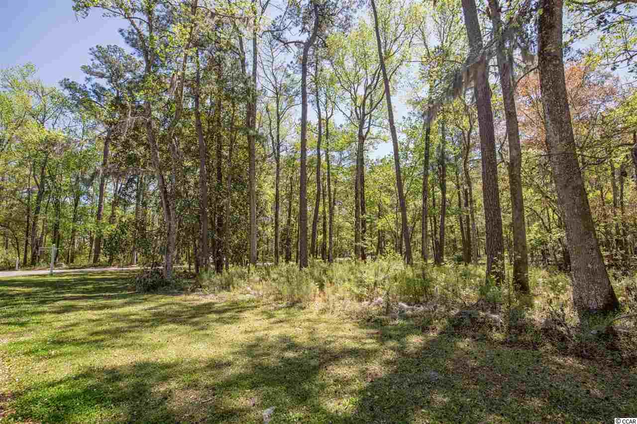 Lot 5 Tuckers Road Pawleys Island, SC 29585 - Photo 3 of 25 Gallery Image 3