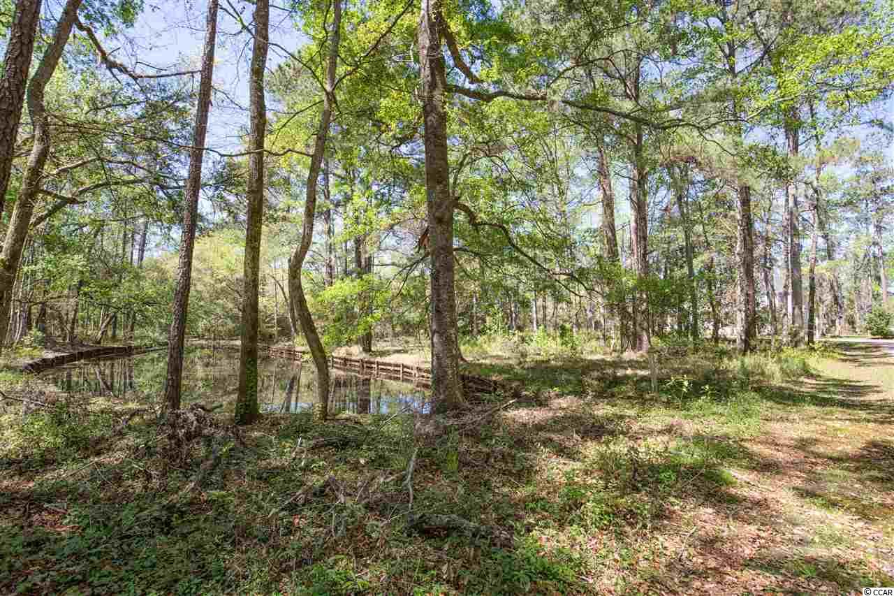 Lot 5 Tuckers Road Pawleys Island, SC 29585 - Photo 4 of 25 Gallery Image 4