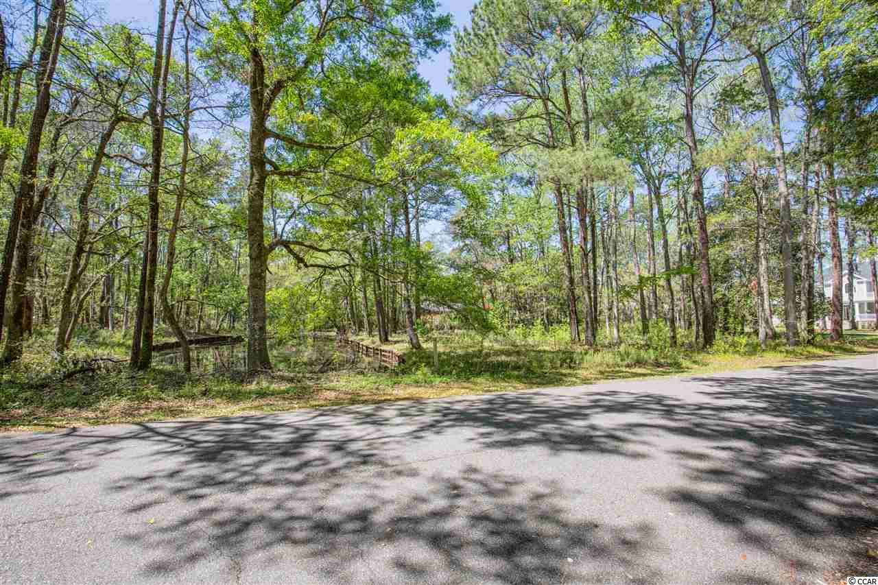 Lot 5 Tuckers Road Pawleys Island, SC 29585 - Photo 5 of 25 Gallery Image 5