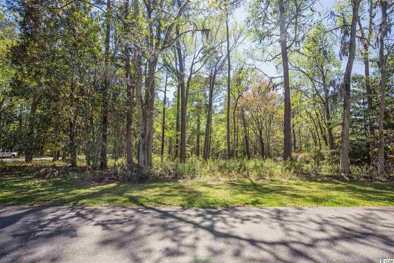 Lot 5 Tuckers Road Pawleys Island, SC 29585 - Photo 6 of 25 Gallery Image 6