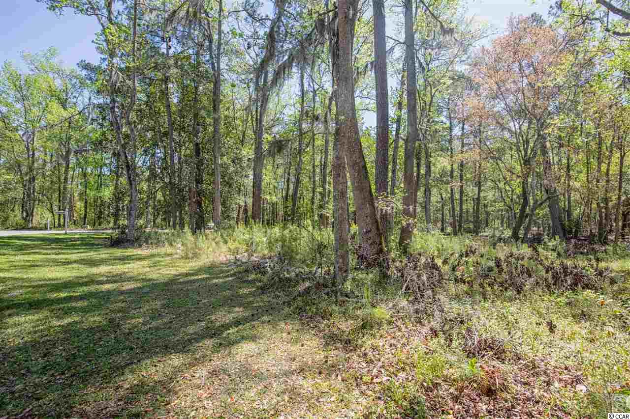 Lot 5 Tuckers Road Pawleys Island, SC 29585 - Photo 7 of 25 Gallery Image 7