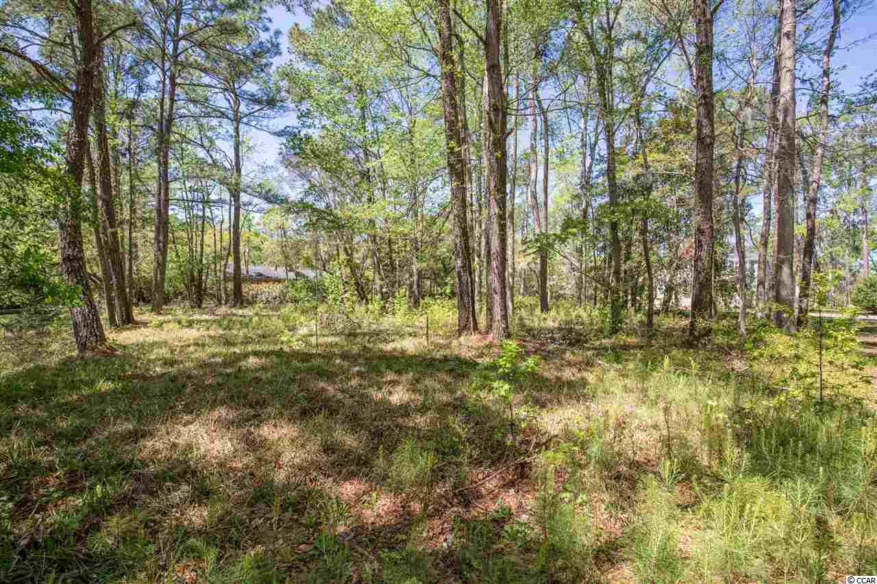 Lot 5 Tuckers Road Pawleys Island, SC 29585 - Photo 8 of 25 Gallery Image 8