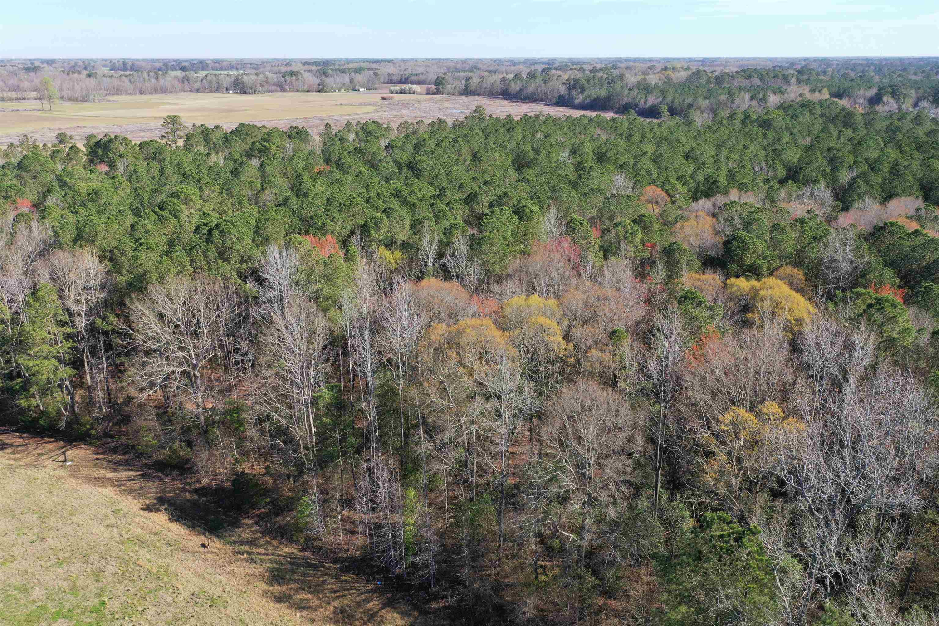 0 Reedy Branch Road Rocky Mount, NC 27803 - Photo 8 of 15 Photo 8
