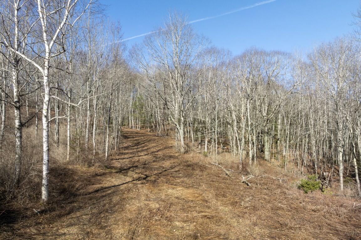 P/o Lot 38 P/o Road Edgecomb, ME 04556 - Photo 8 of 8 6.