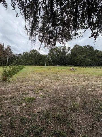 a view of a yard with large tree