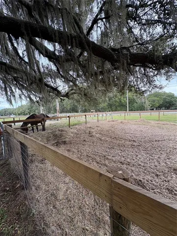 a view of a field with trees in the background