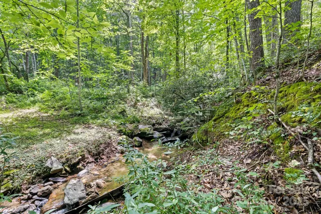 a view of swimming pool with lawn chairs and plants