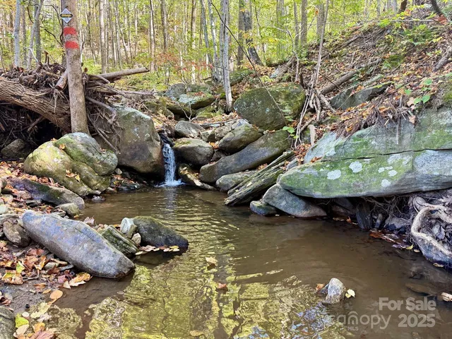 a view of a lush green hillside and a mountain
