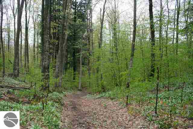 6633 South Wheeler Road Maple City, MI 49664 - Photo 8 of 10 1745291-7.JPG