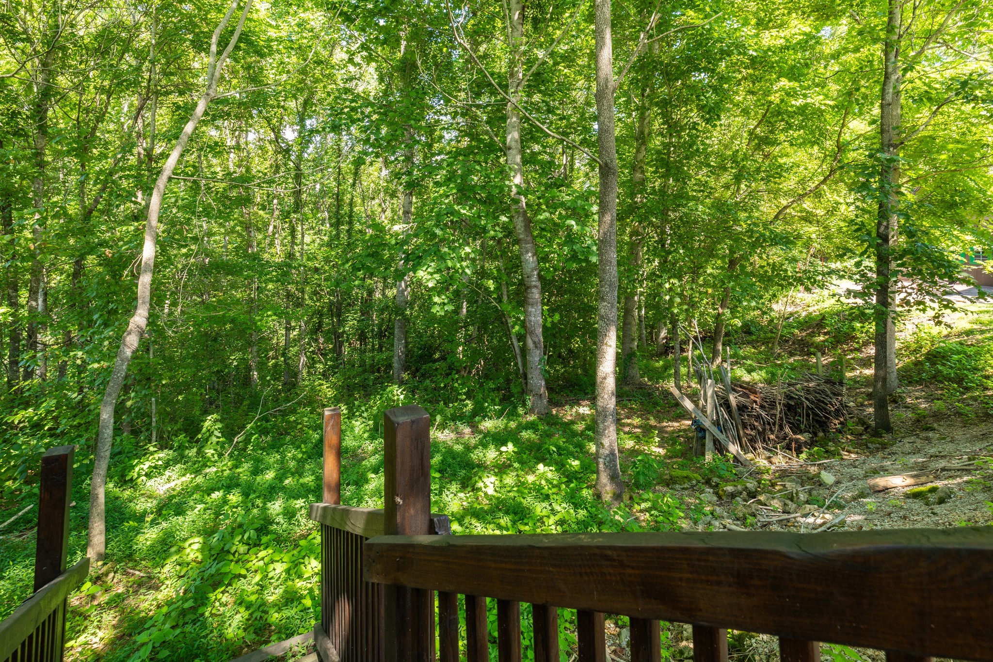 158 Dillon Road Baxter, TN 38544 - Photo 80 of 93