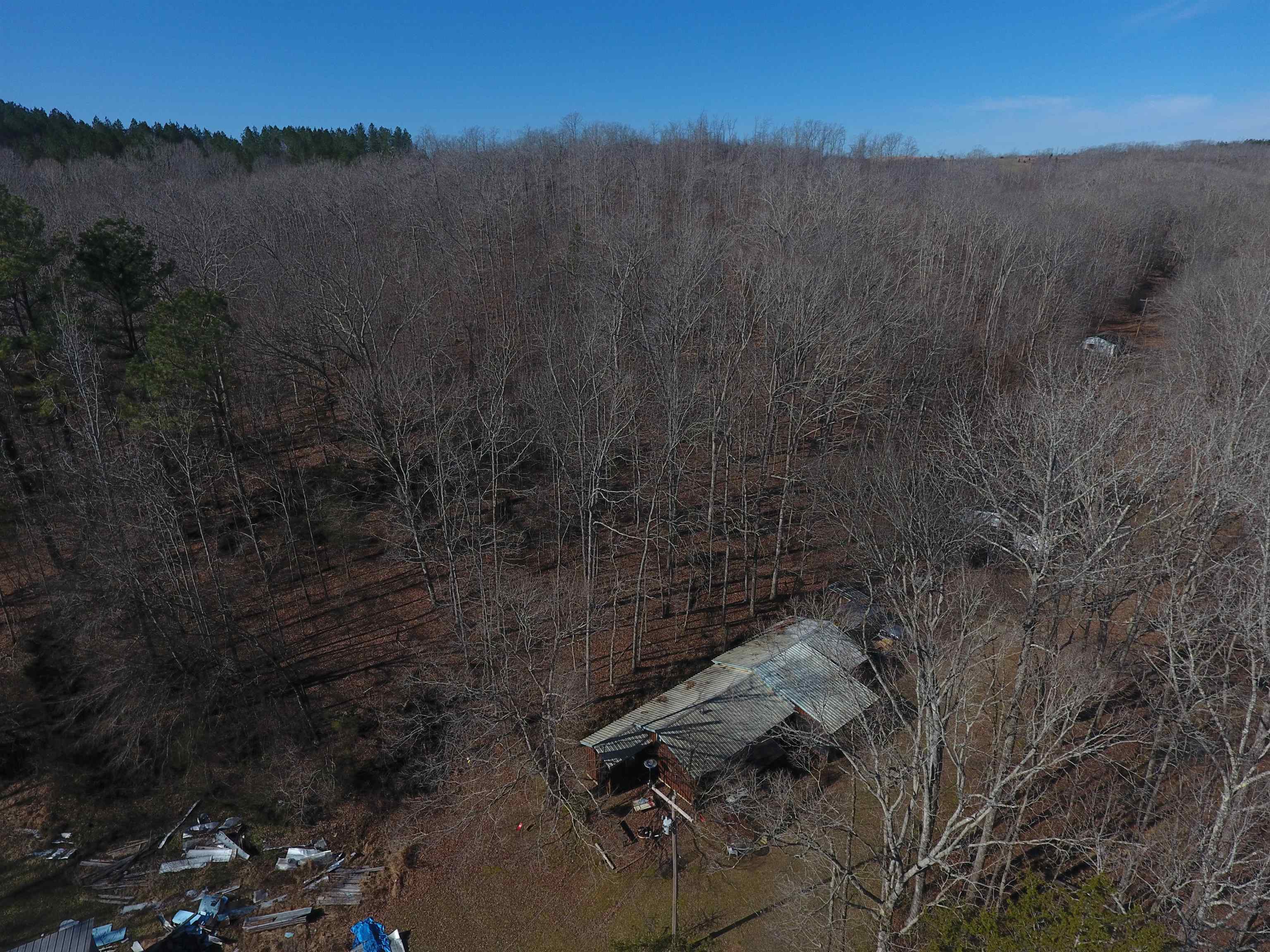0 Hog Creek Road Sugar Tree, TN 38380 - Photo 17 of 21 Gallery Image 17